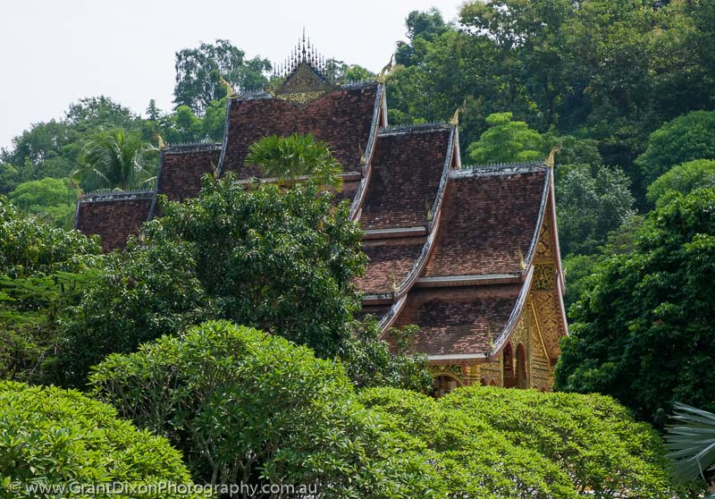 image of Wat Ho Pha Bang trees